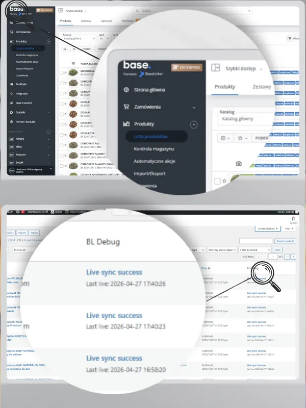 Aroks BaseLinker Debugger